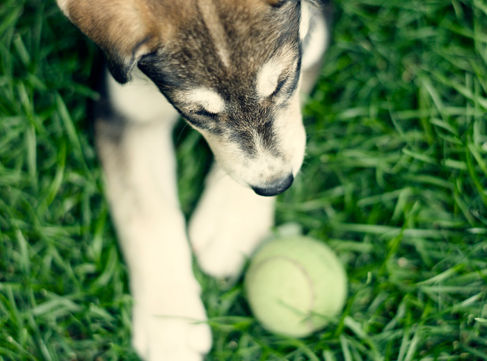 攻击网站的方法