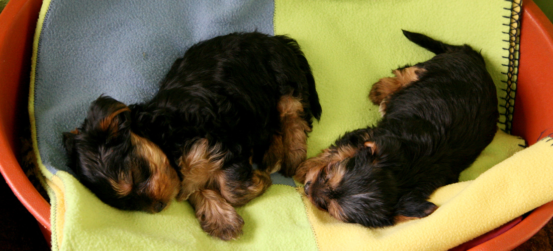 ip攻击器网页版ddos